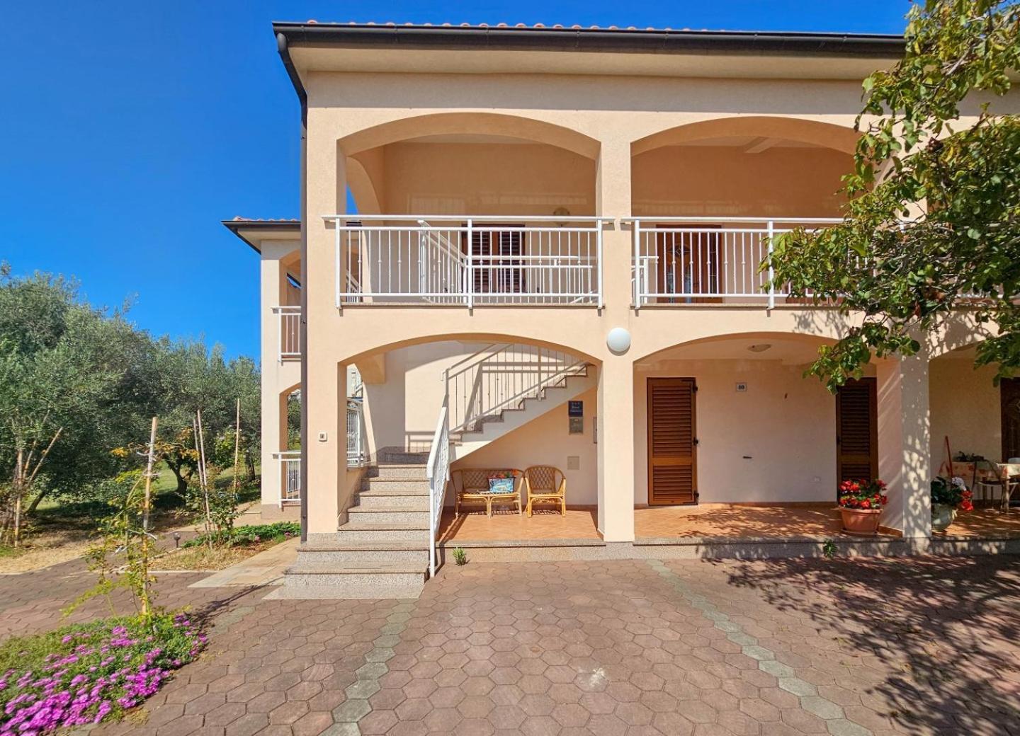 Appartement Viola Three à Novigrad Istria Extérieur photo